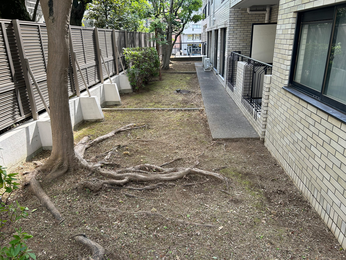 jyosou1